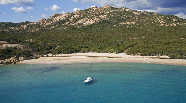 France, Corse du sud (2A), Domaine de Murtoli, plage d'Erbaju (vue aerienne)